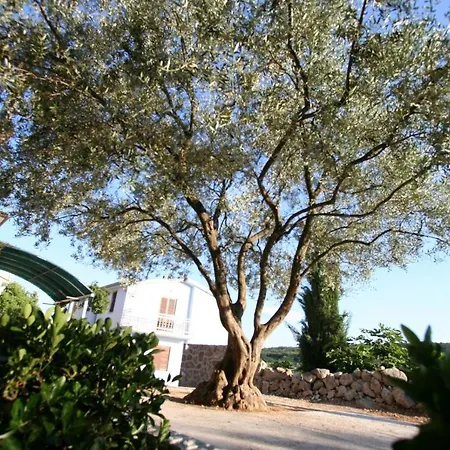 One-bedroom Near Sea 1 Šilo